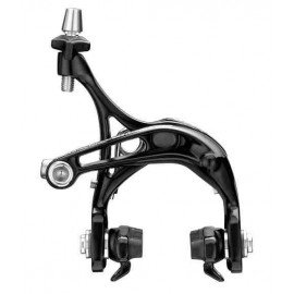 Campagnolo Record scheletro Dual