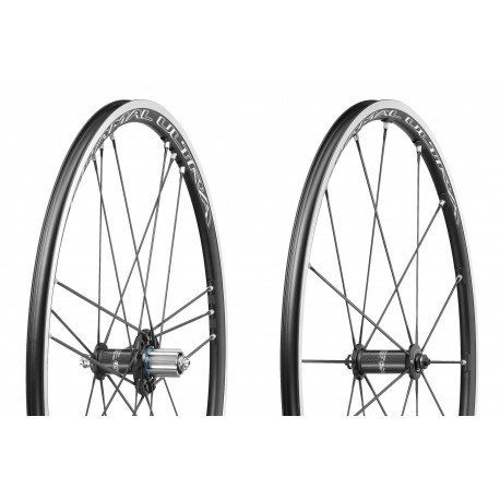 Campagnolo Shamal Ultra