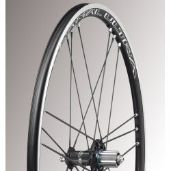 Campagnolo Shamal Ultra